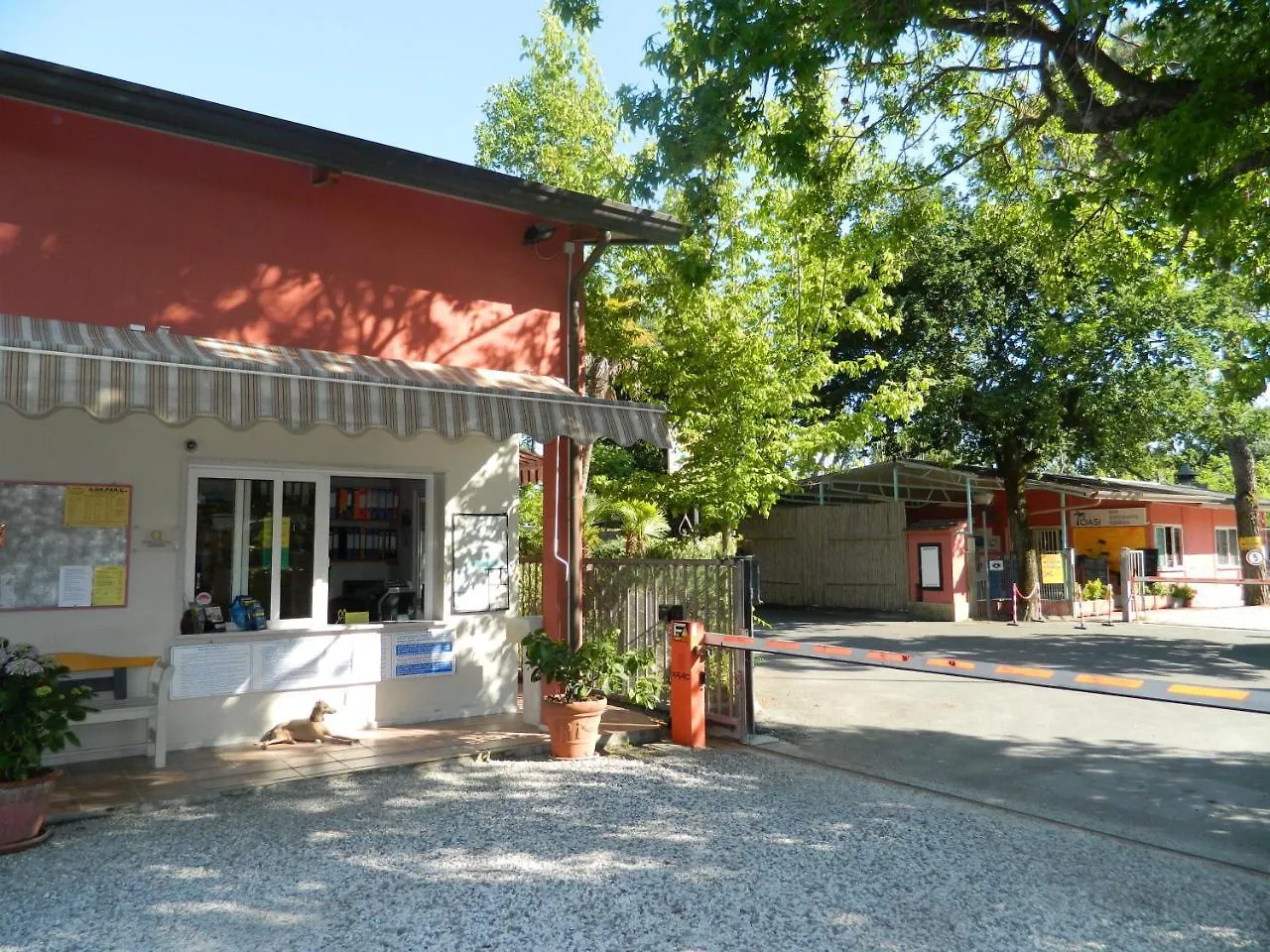 Campsite Camping Oasi Marina di Massa